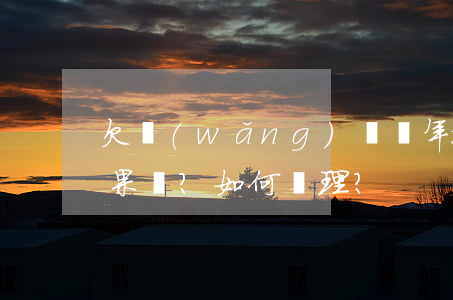 欠網(wǎng)貸兩年被訴訟會有什么后果？如何處理？